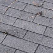 #22 If you hear a loud thud on your roof, you may find that it has been damaged by a tree’s limb. There may be critical damage which should be addressed quickly before a serious roof leak occurs.